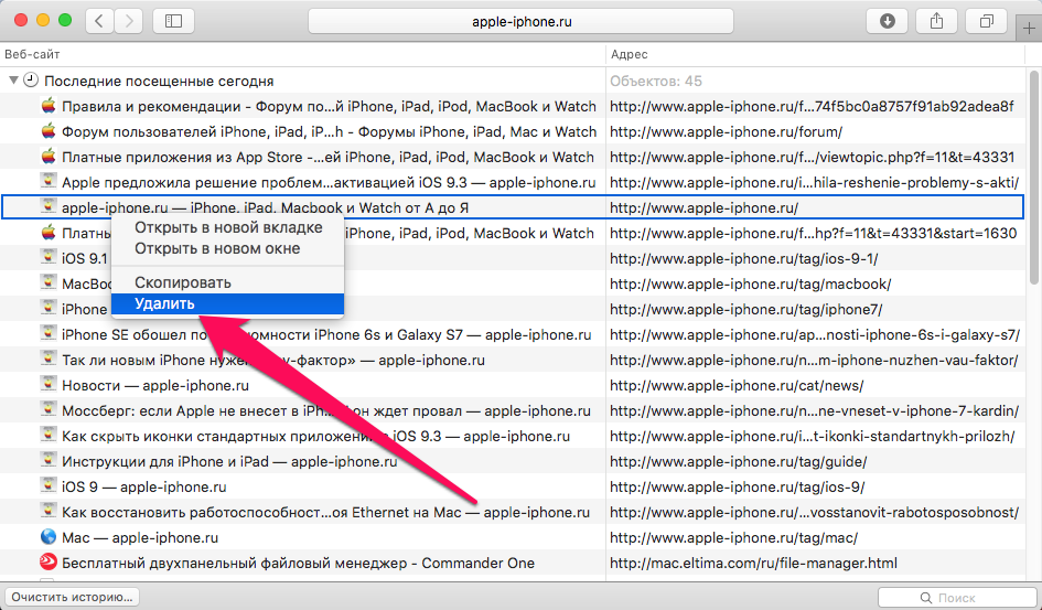 How to remove certain pages from Safari browser history on Mac